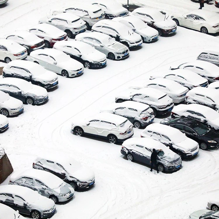 product-750-750 product-750-750